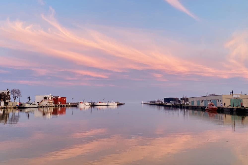 Photo of Others in Port Stanley