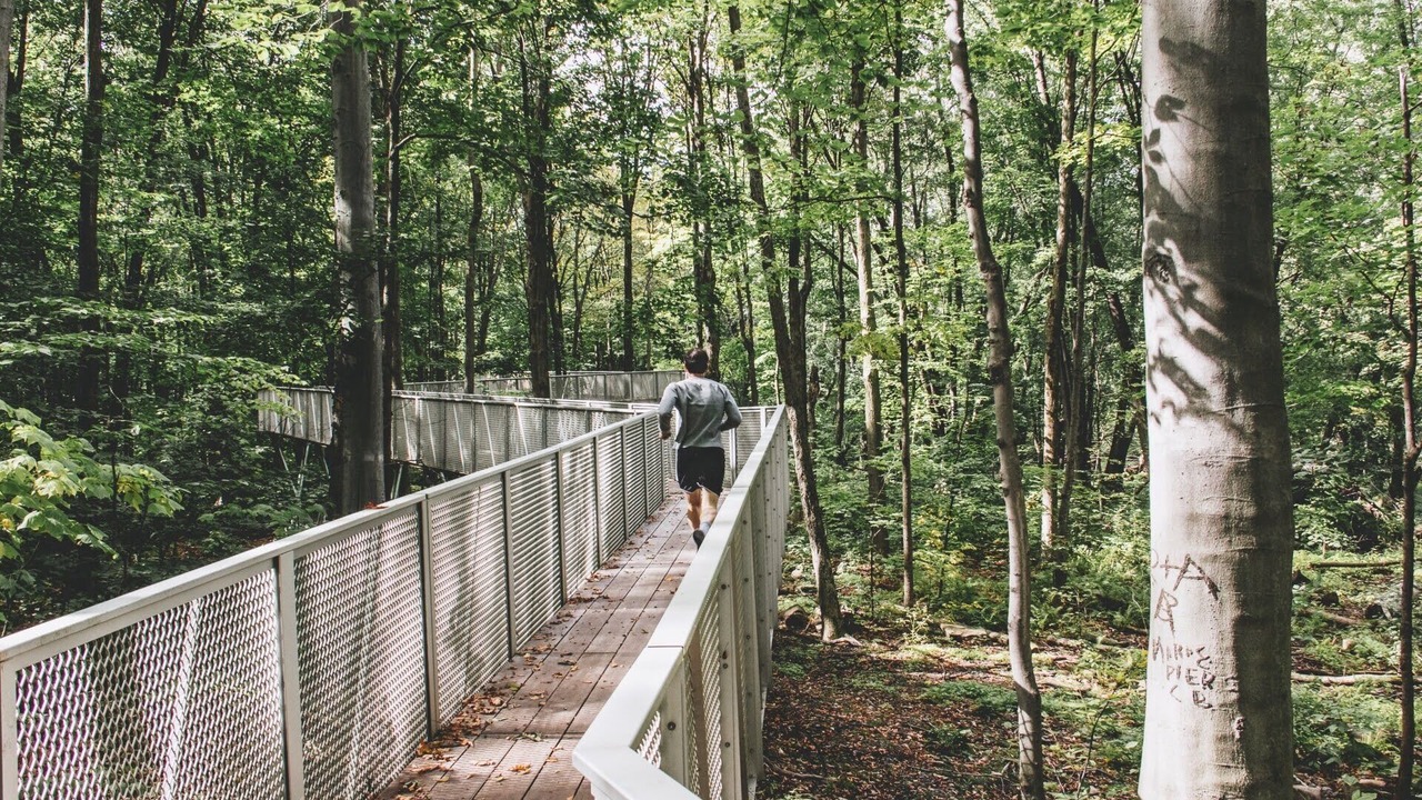 Photo of Outdoor in Saint-Laurent