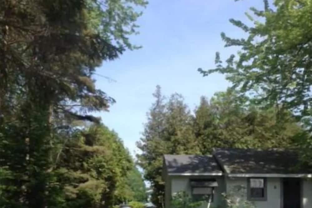 Photo of Outdoor in Turkey Point
