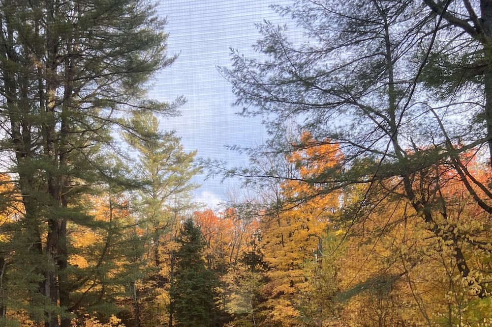 Photo of Outdoor in Perry