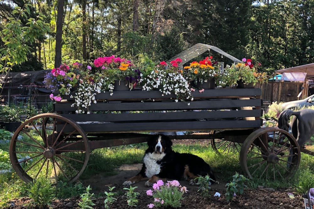 Photo of Outdoor in North Cowichan