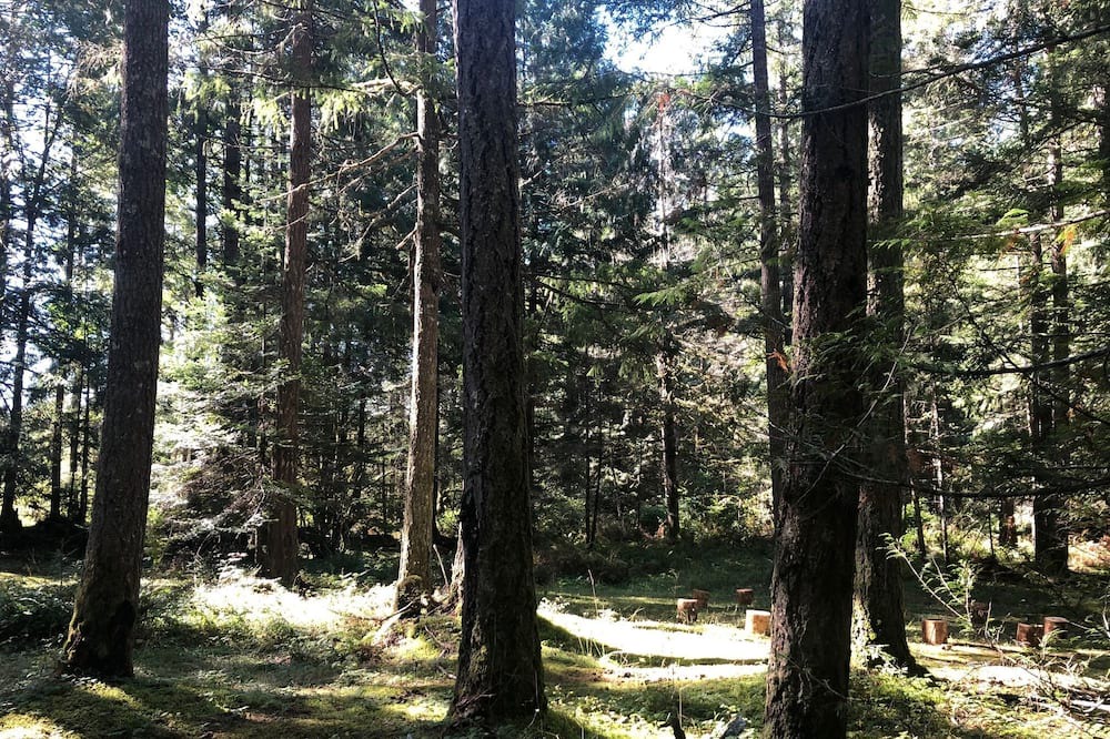Photo of Others in North Cowichan