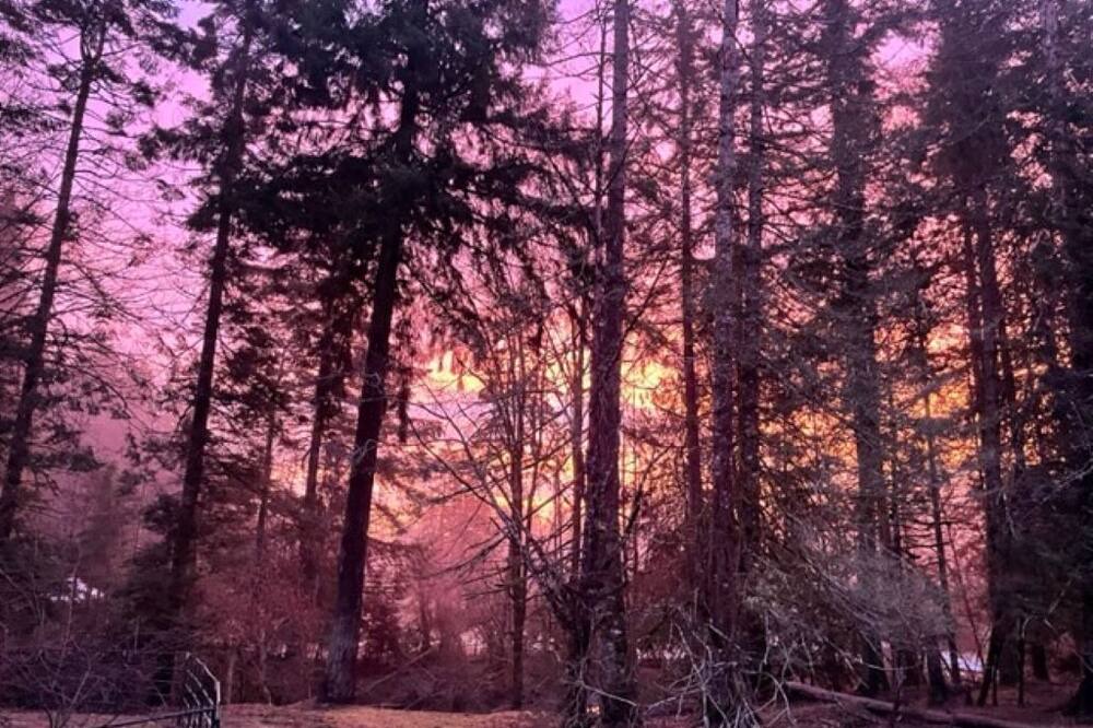 Photo of Outdoor in North Cowichan