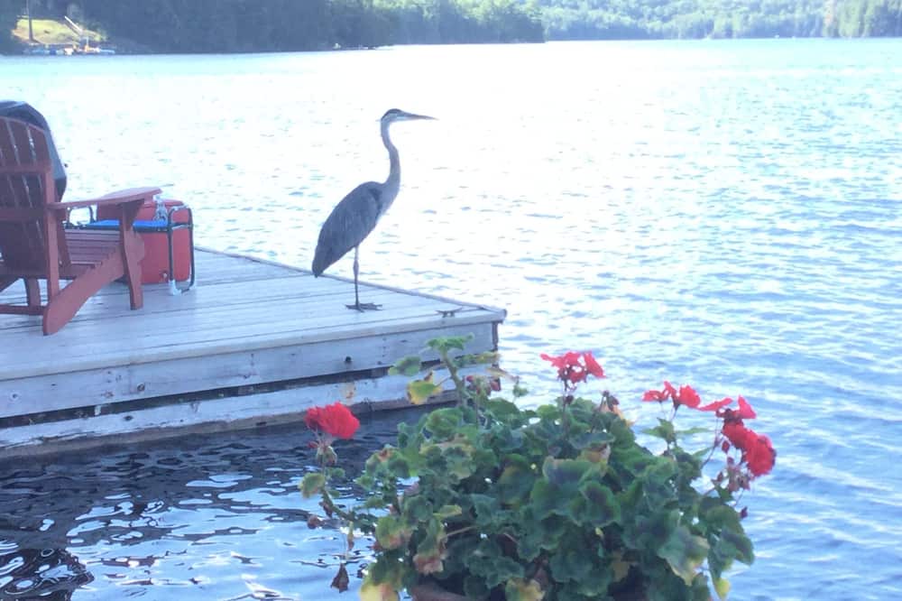 Photo of Outdoor in Trent Lakes