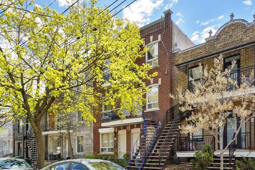 Photo of Outdoor in La Petite-Patrie