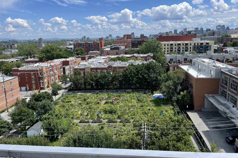 Photo of Outdoor in Mile End
