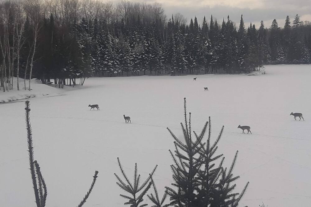 Photo of Others in Grand-Remous
