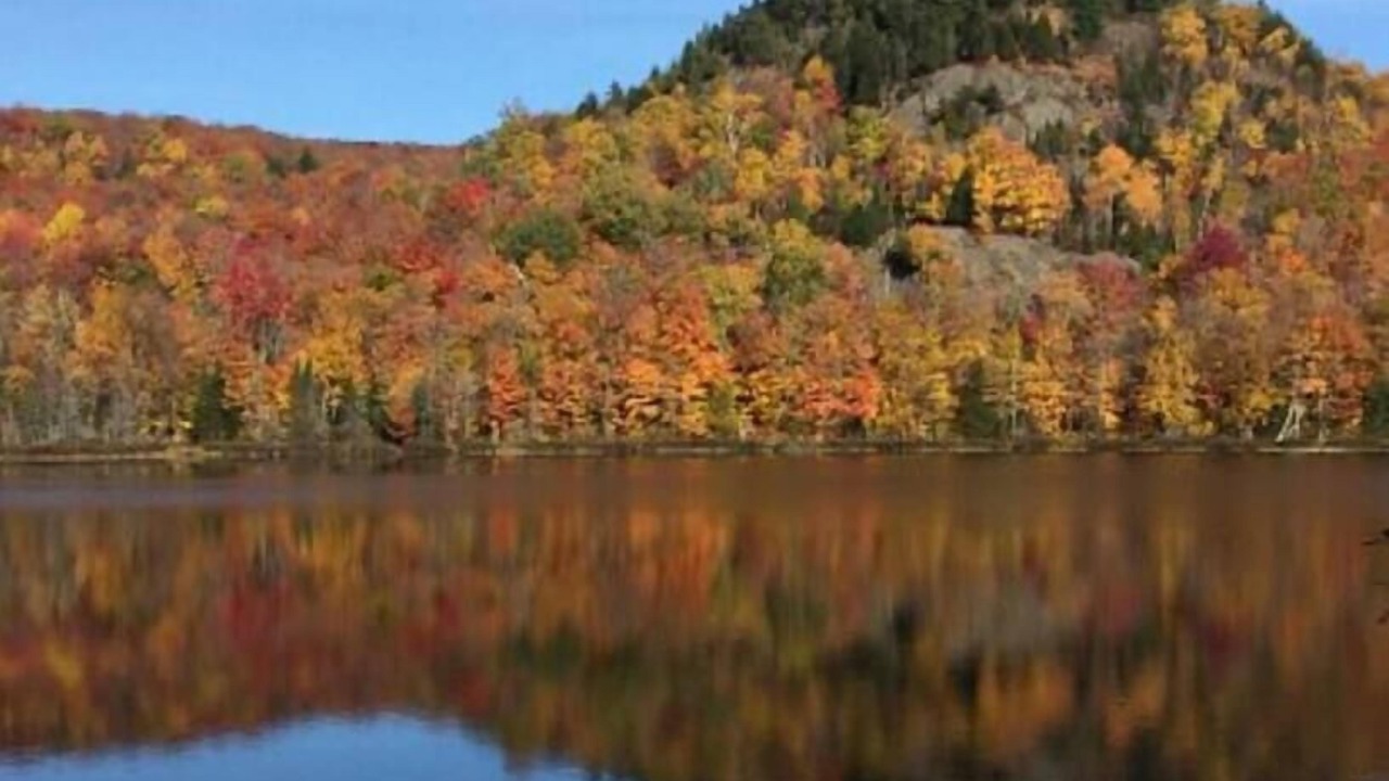 Photo of Others in Magog