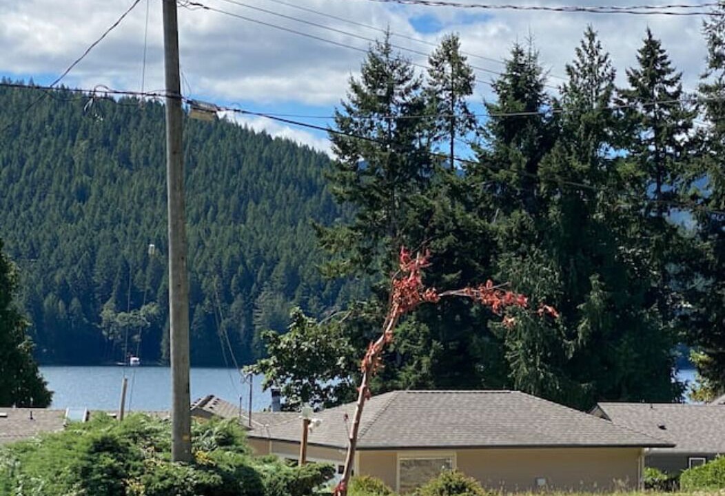 Photo of Outdoor in Youbou