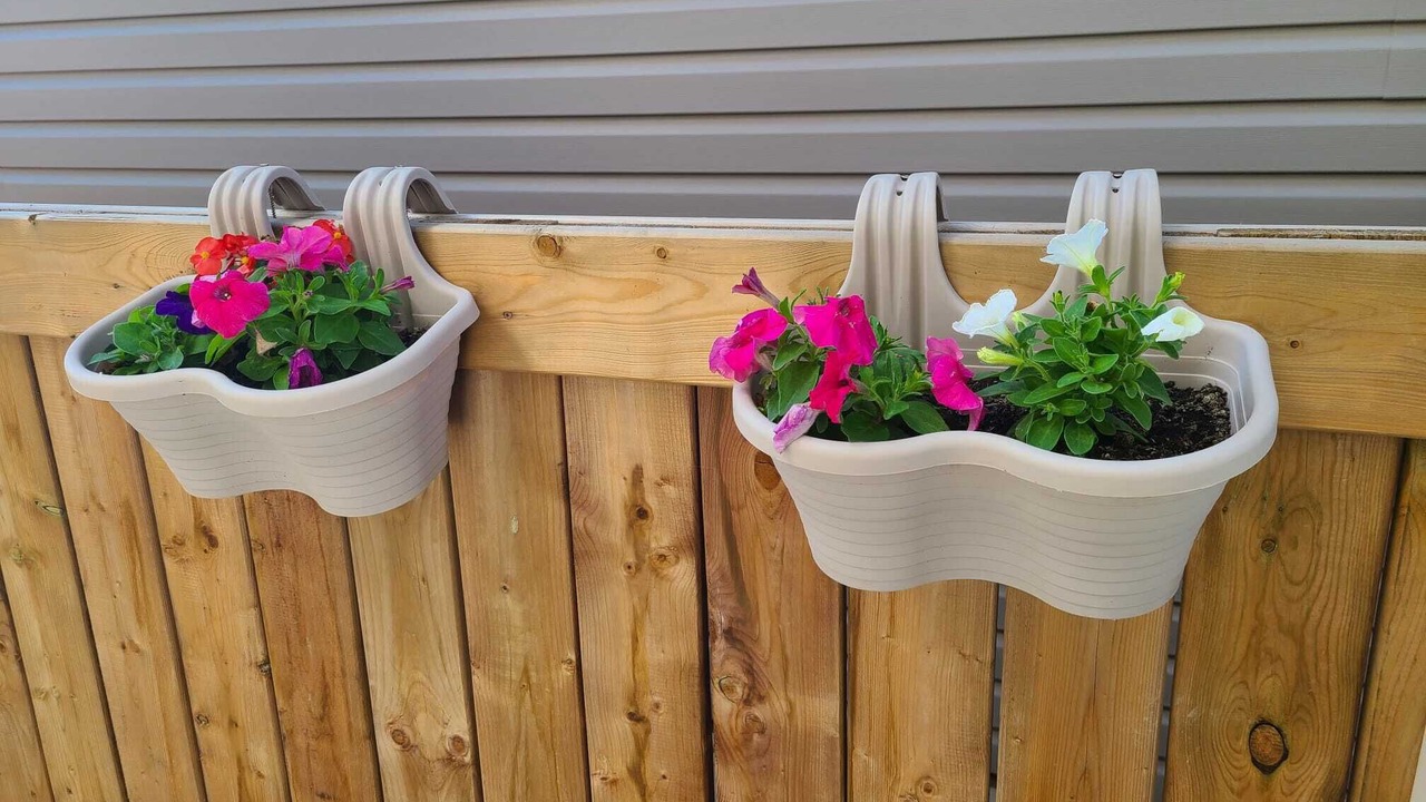 Photo of Outdoor in Northeast Edmonton