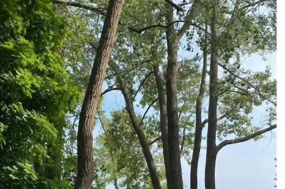 Photo of Others in Wainfleet