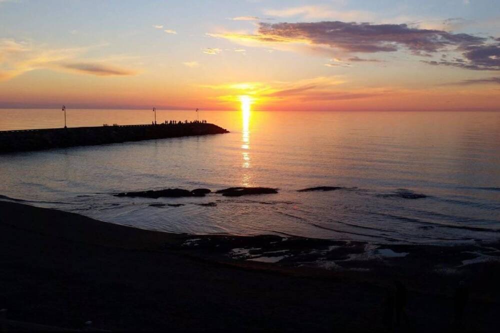 Photo of Others in Sainte-Flavie