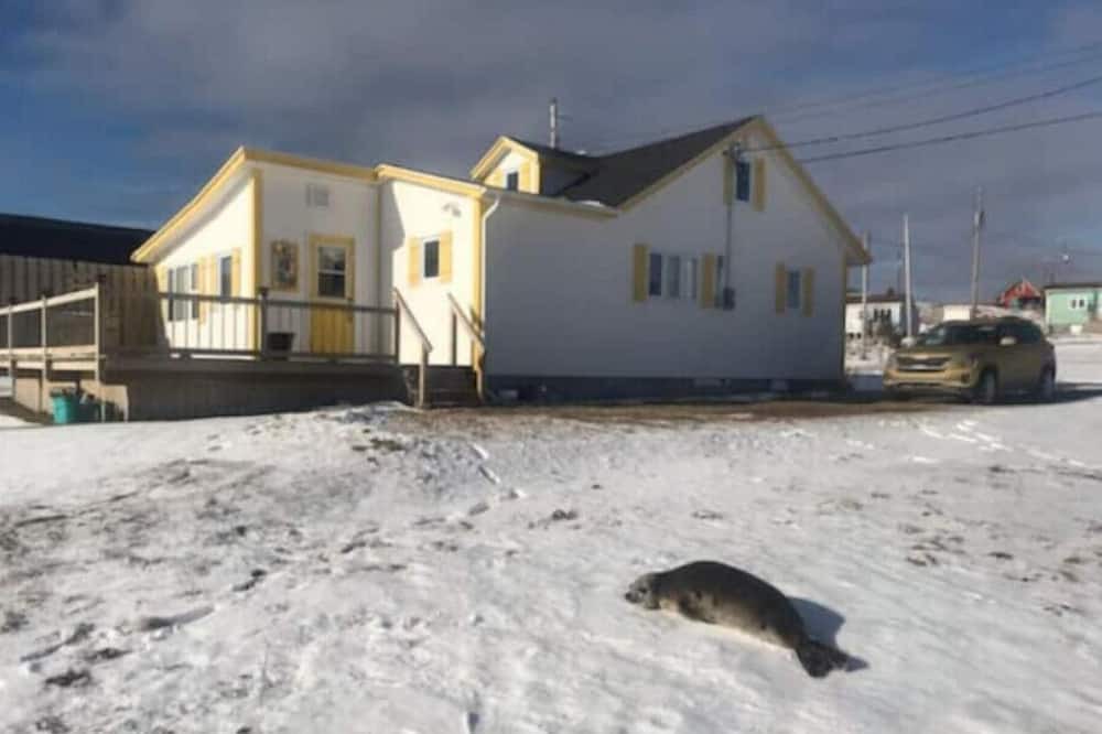Photo of Outdoor in Newfoundland
