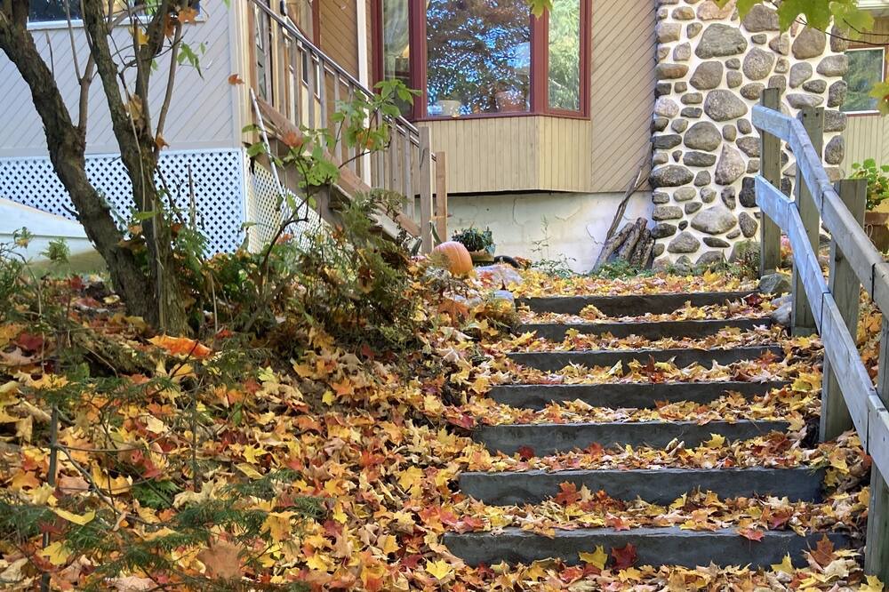 Photo of Outdoor in Val-des-Lacs