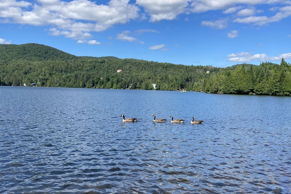 Photo of Others in Val-des-Lacs