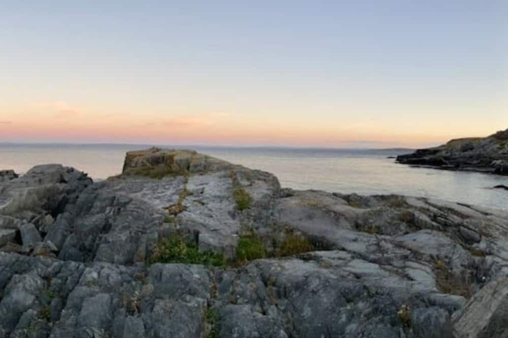 Photo of Others in Terra Nova