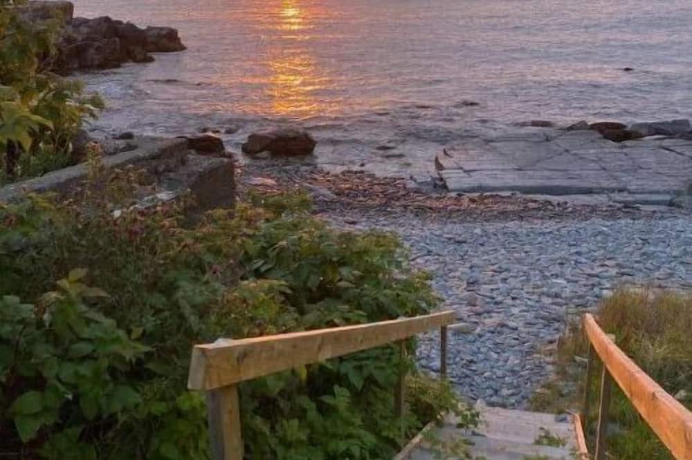 Photo of Others in Terra Nova