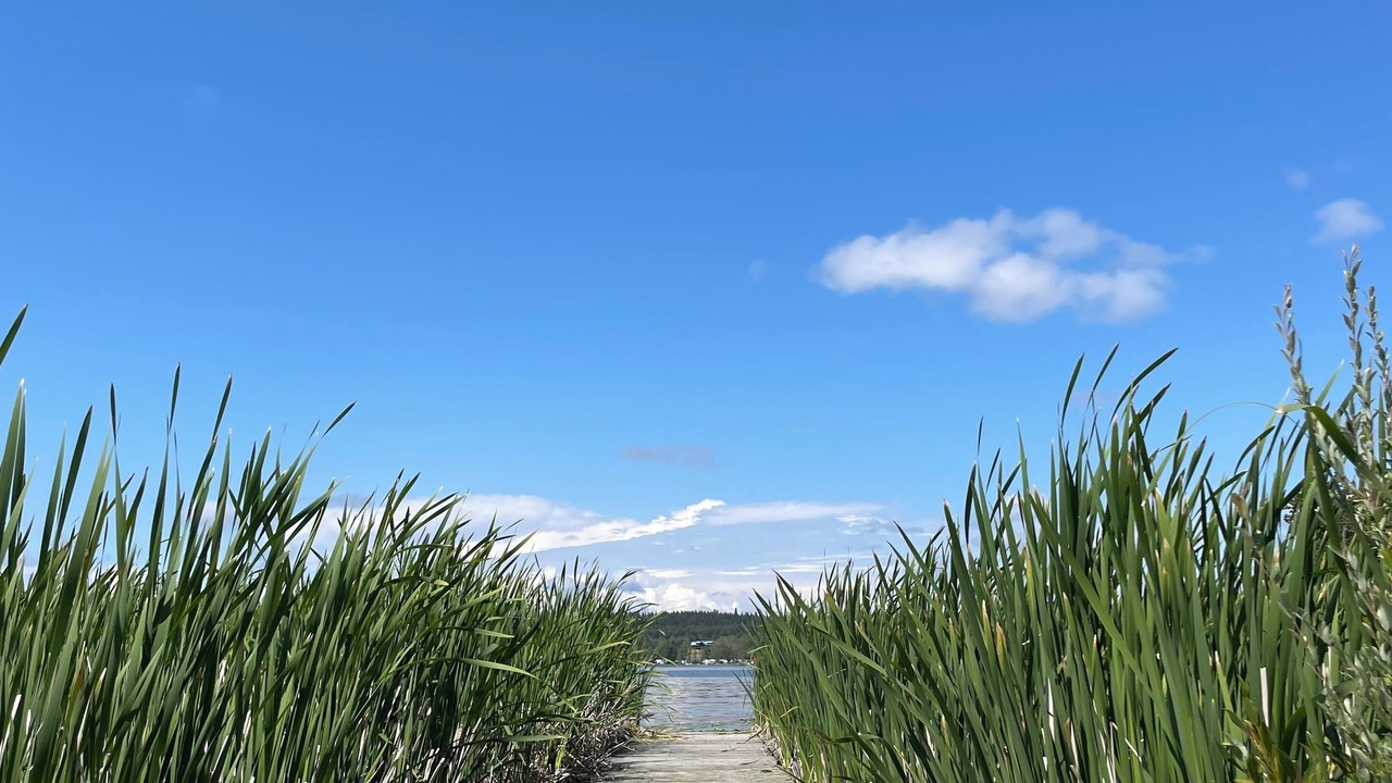 Photo of Outdoor in Lac La Hache