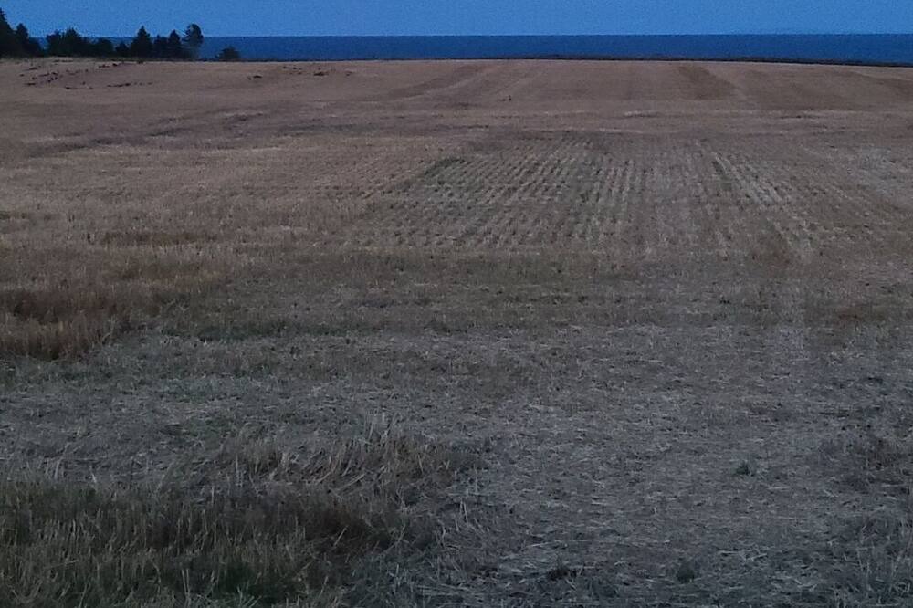 Photo of Outdoor in Gaspereaux