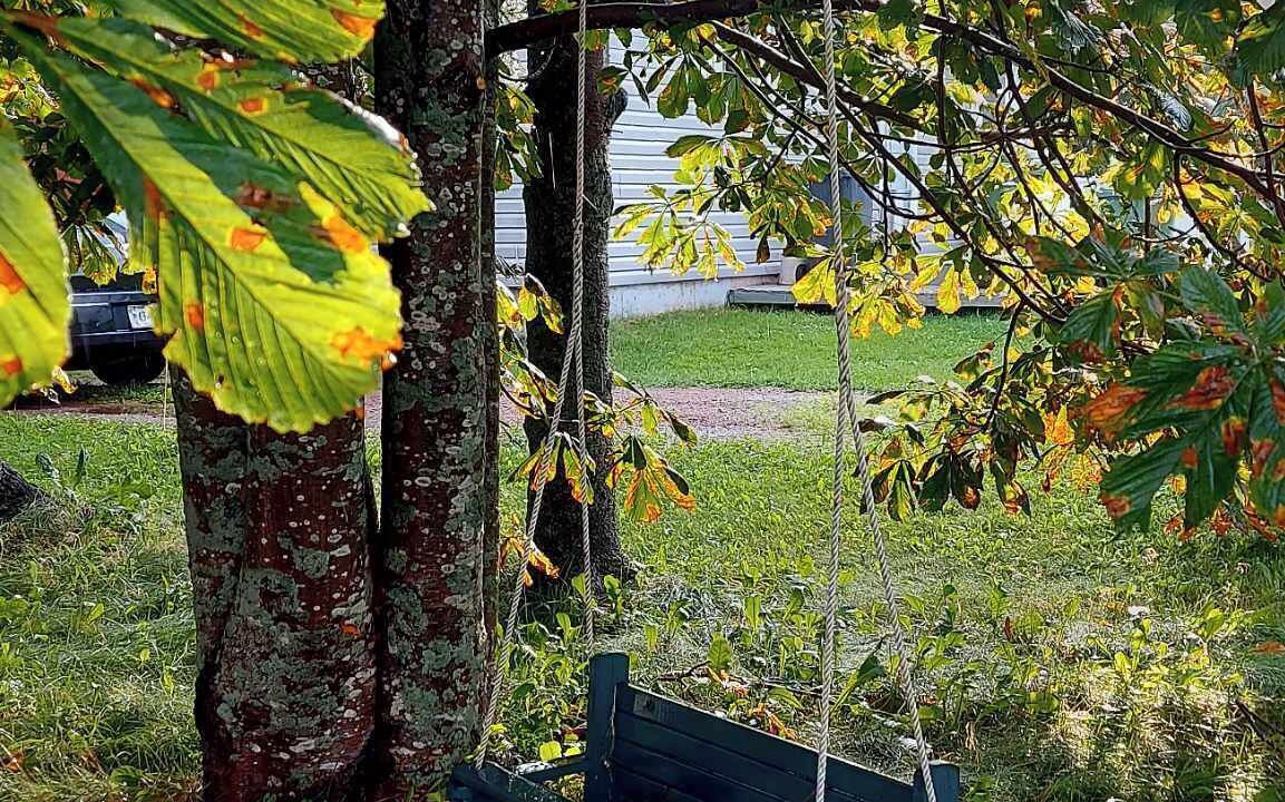 Photo of Outdoor in North Rustico