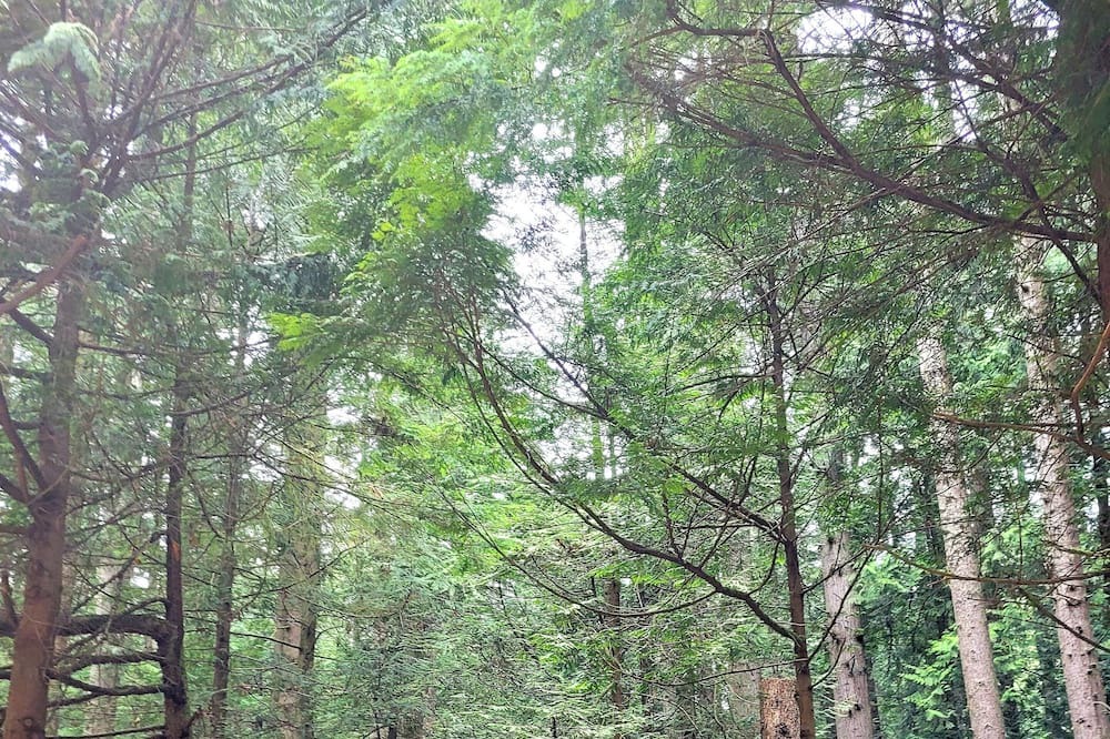 Photo of Outdoor in East Kootenay