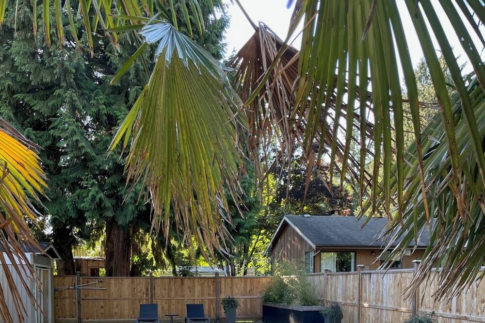 Photo of Outdoor in Delta