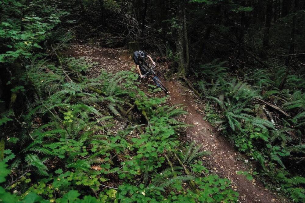 Photo of Others in Chilliwack Proper Village West