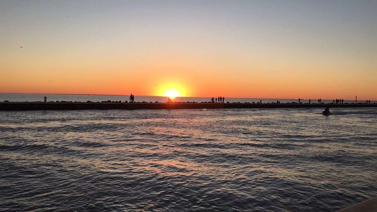 Photo of Others in Port Weller West