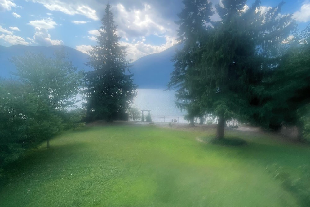 Photo of Others in Nelson