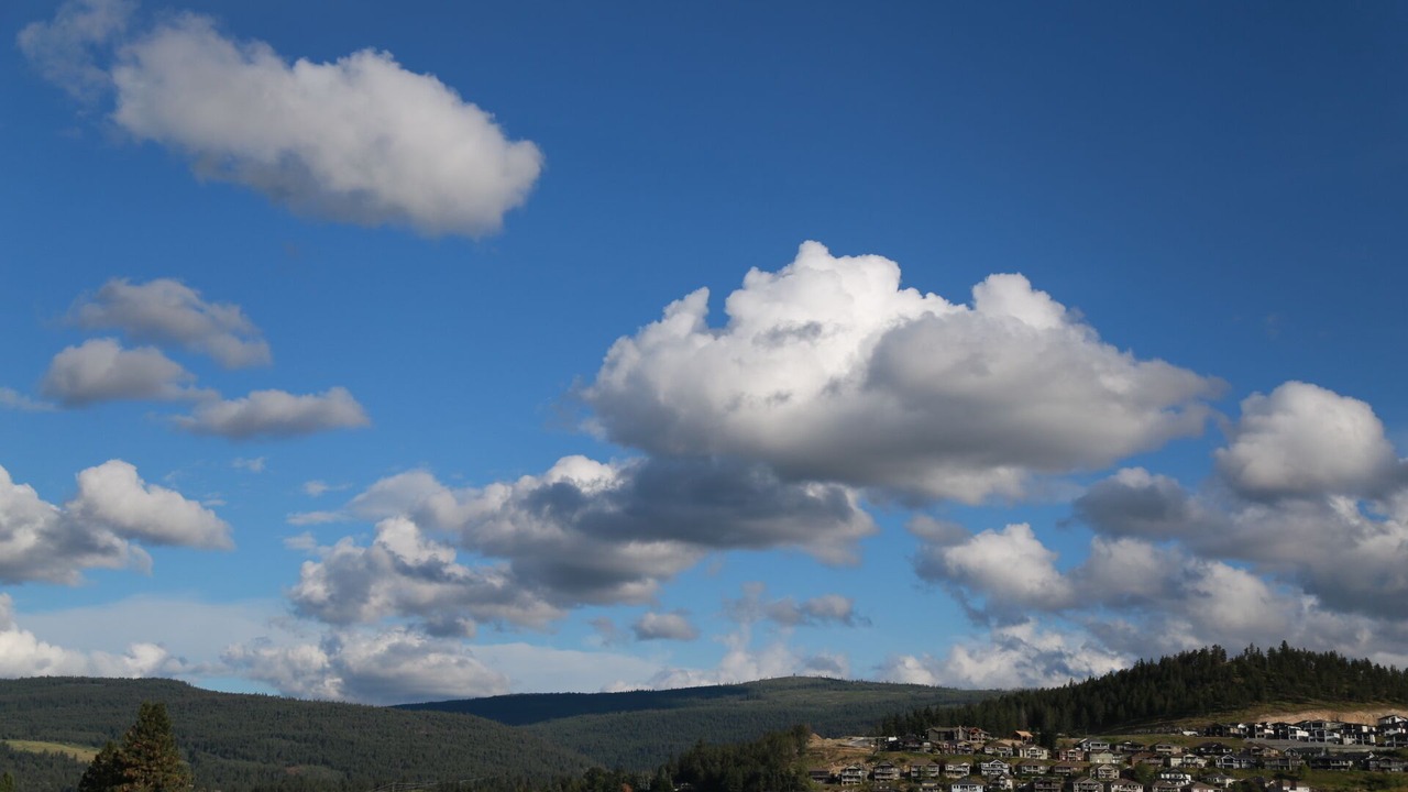 Photo of Others in Black Mountain