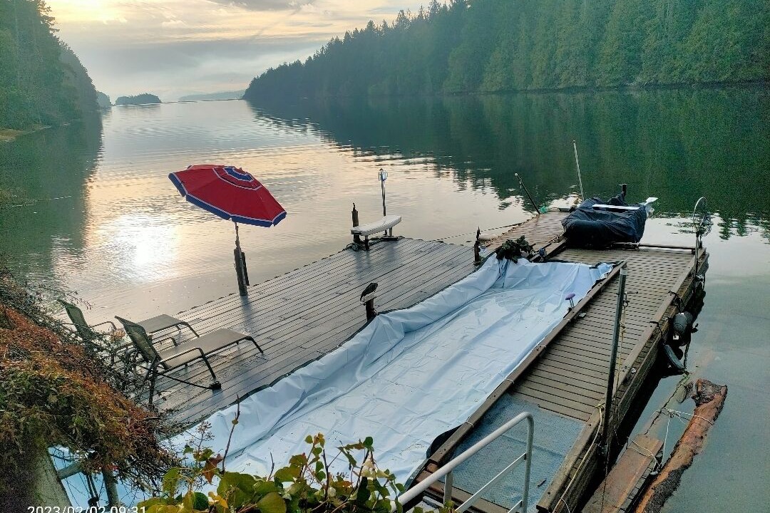 Photo of Outdoor in North Oyster