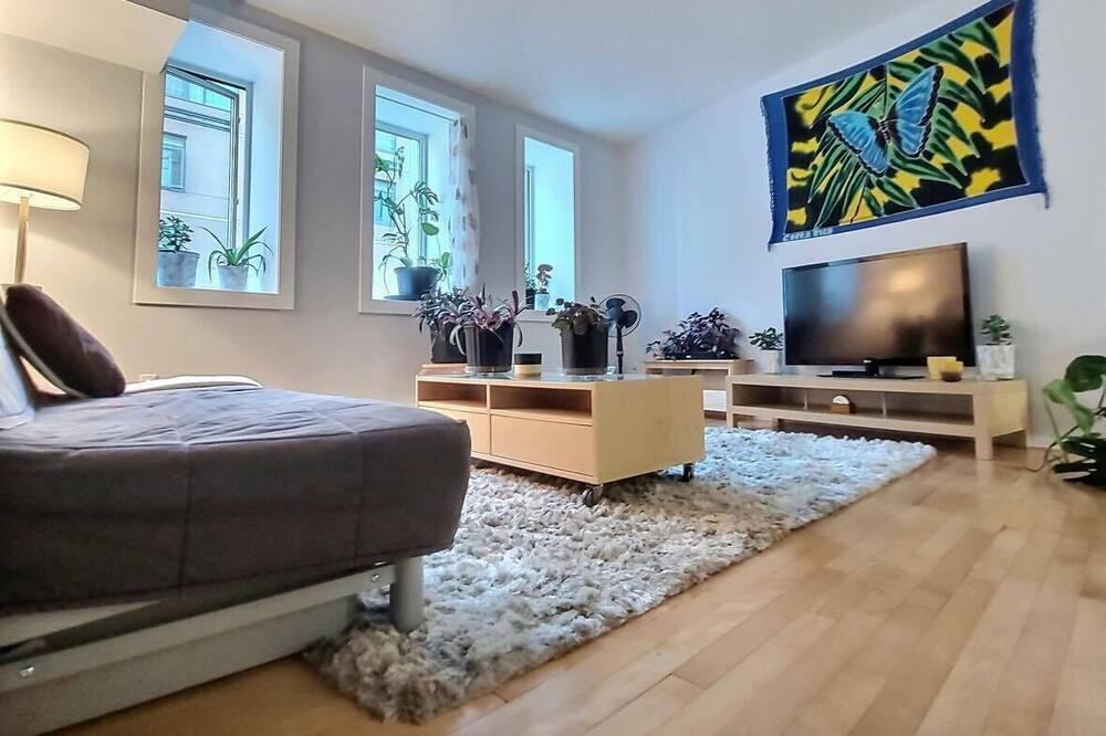 Photo of Livingroom in Lower Town