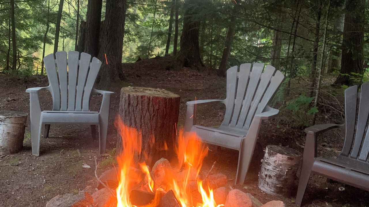 Photo of Outdoor in Harcourt