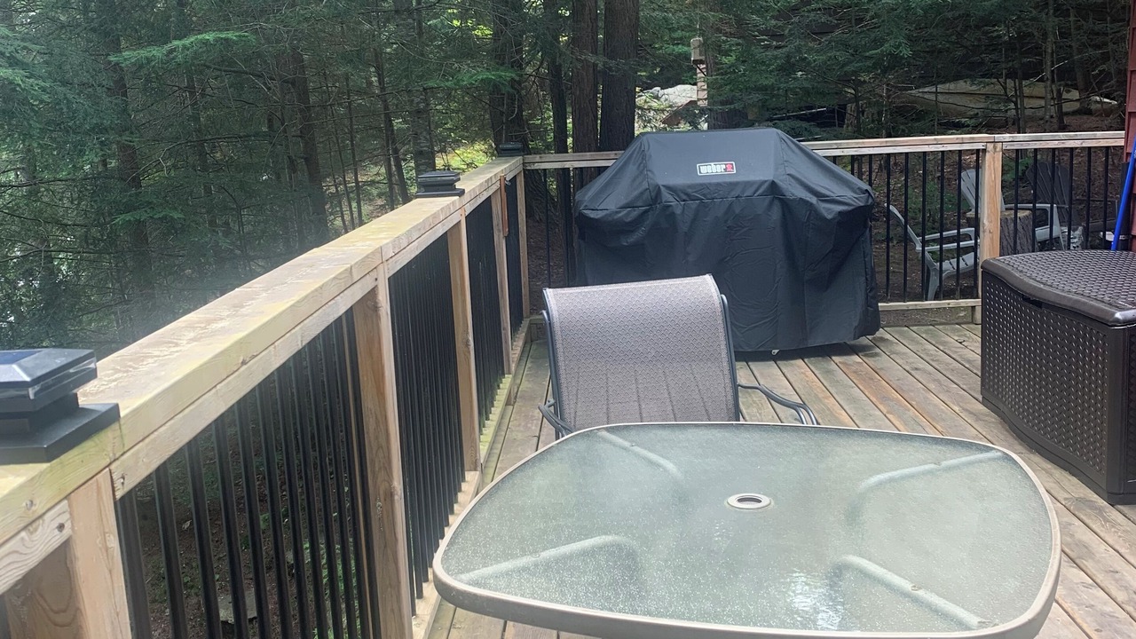 Photo of Outdoor in Harcourt