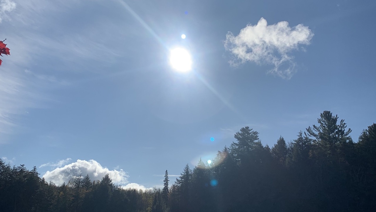 Photo of Outdoor in Harcourt