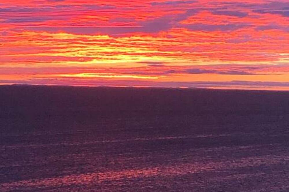 Photo of Others in Bonavista