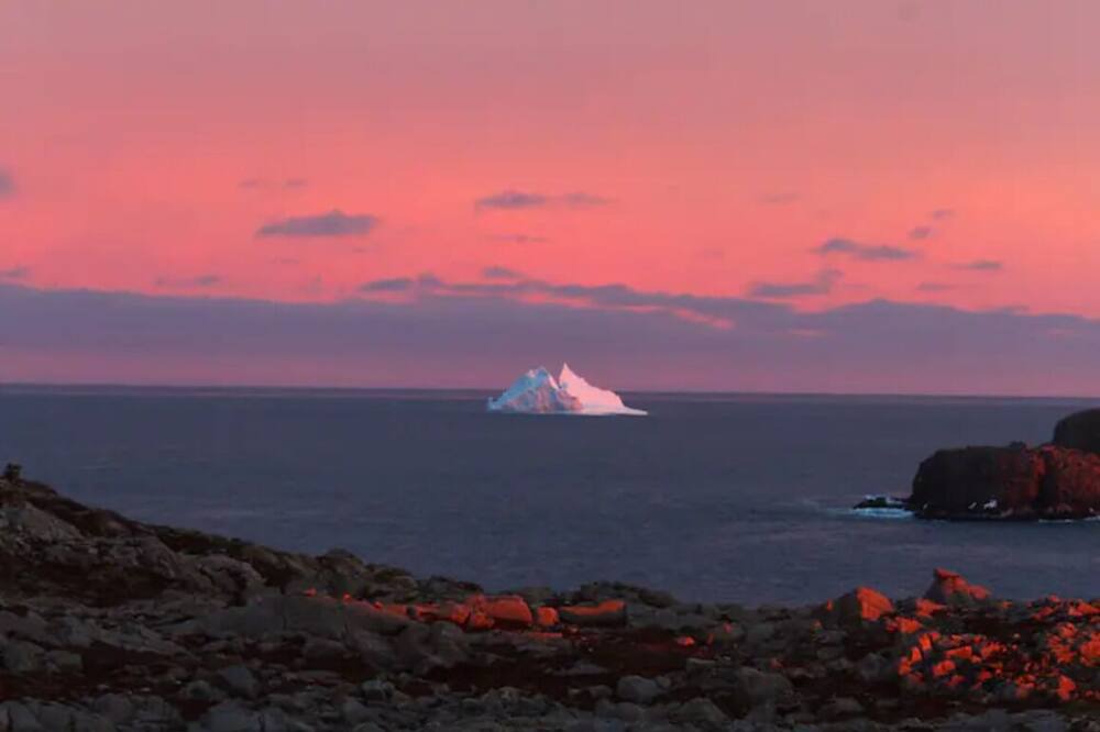 Photo of Others in Bonavista