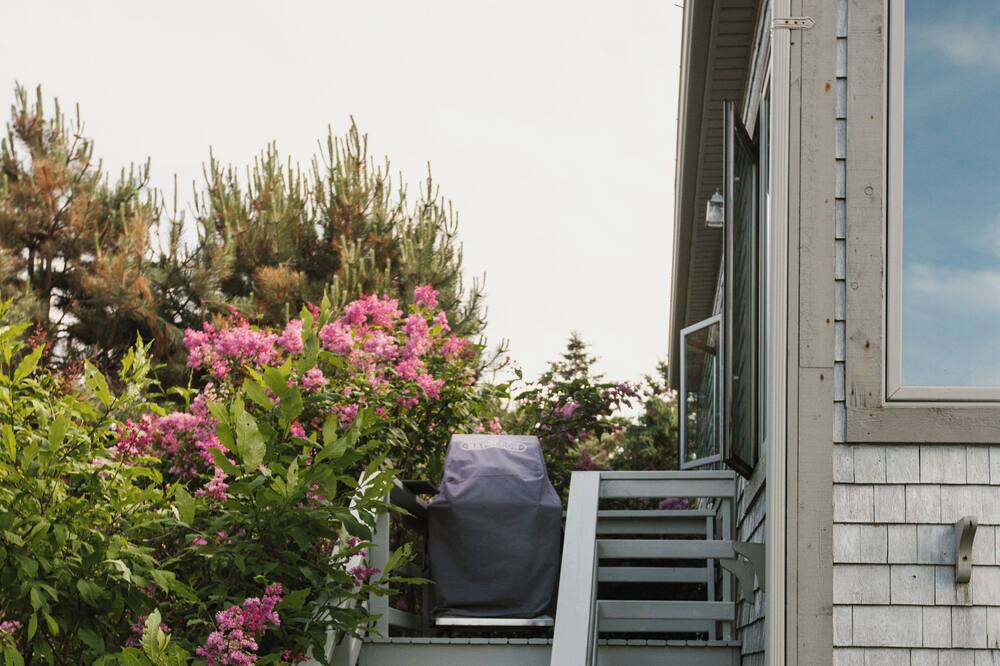 Photo of Outdoor in Cavendish