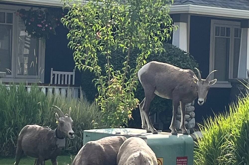 Photo of Outdoor in Kamloops