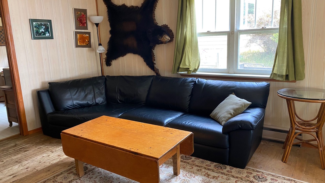 Photo of Livingroom in Strong