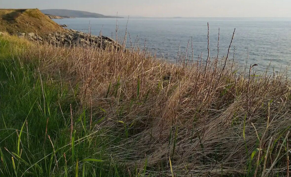 Photo of Others in Cap Le Moine