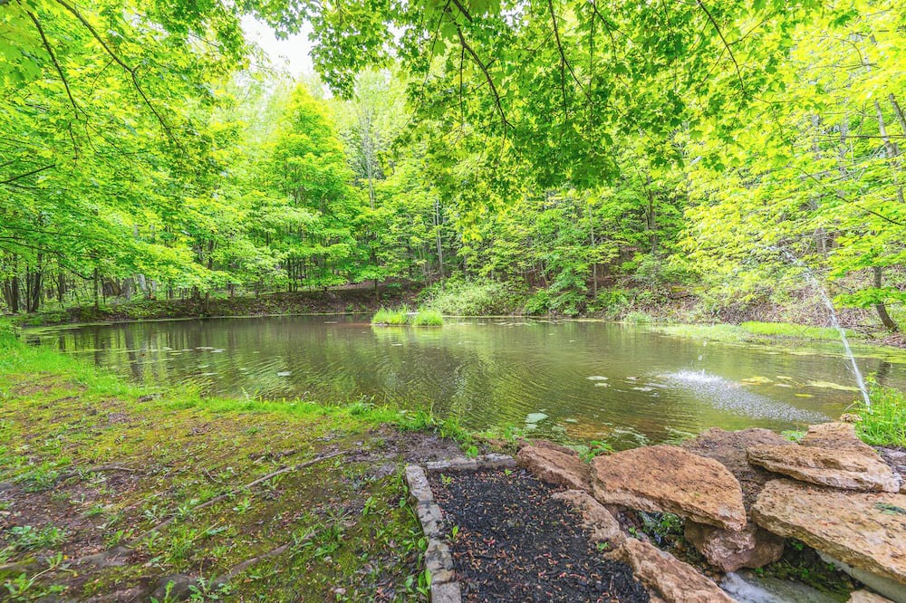 Photo of Outdoor in Georgian Bluffs