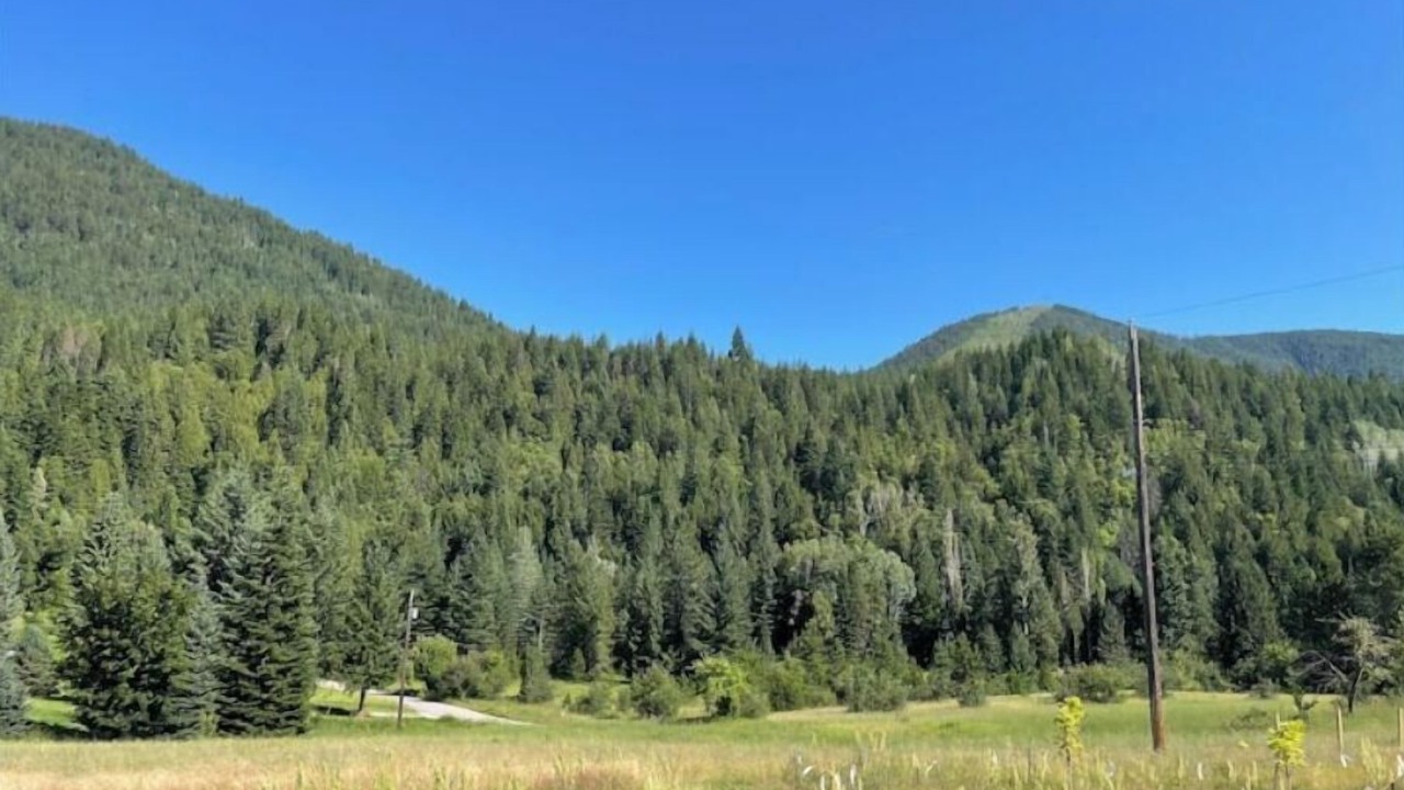 Photo of Others in Crescent Valley
