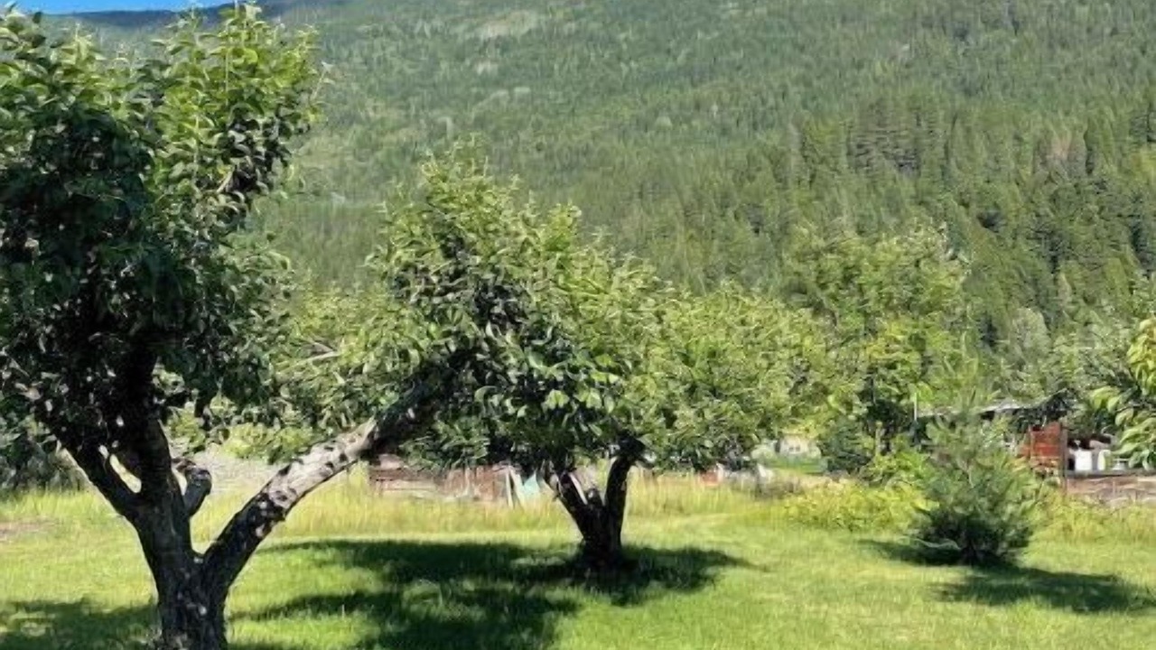 Photo of Outdoor in Crescent Valley