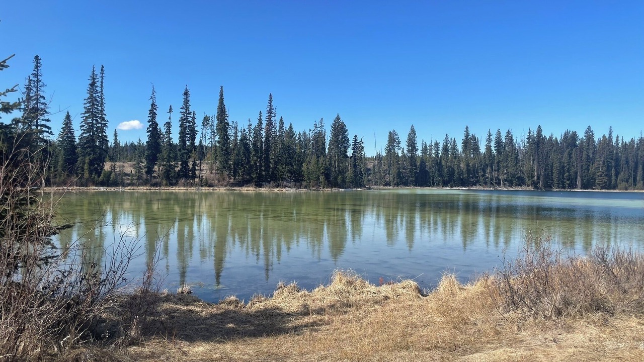 Photo of Others in Lac Le Jeune