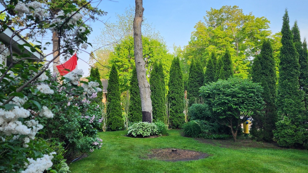 Photo of Outdoor in Port Elgin