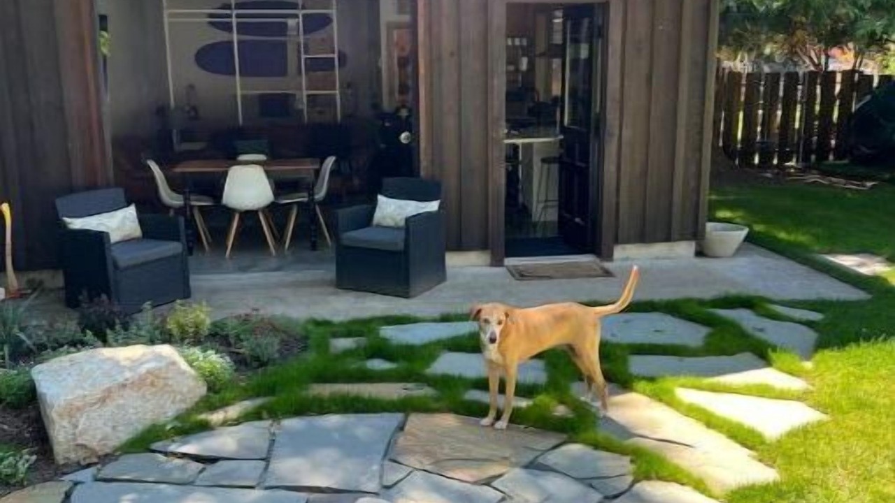 Photo of Patio Balcony in Garibaldi Highlands