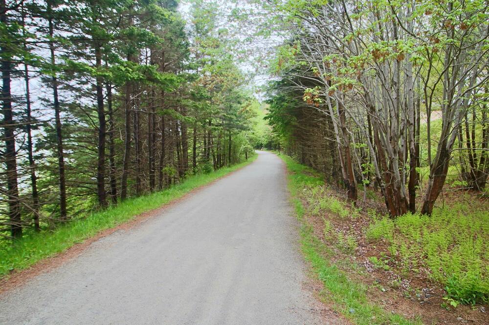 Photo of Outdoor in Halifax County