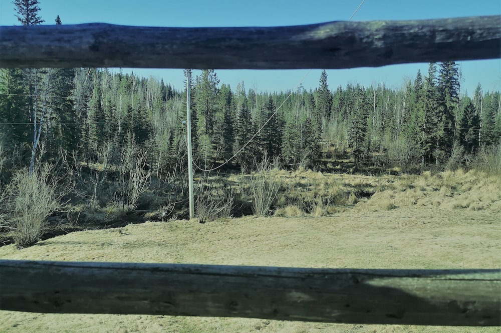 Photo of Others in Regional District of Fraser-Fort George