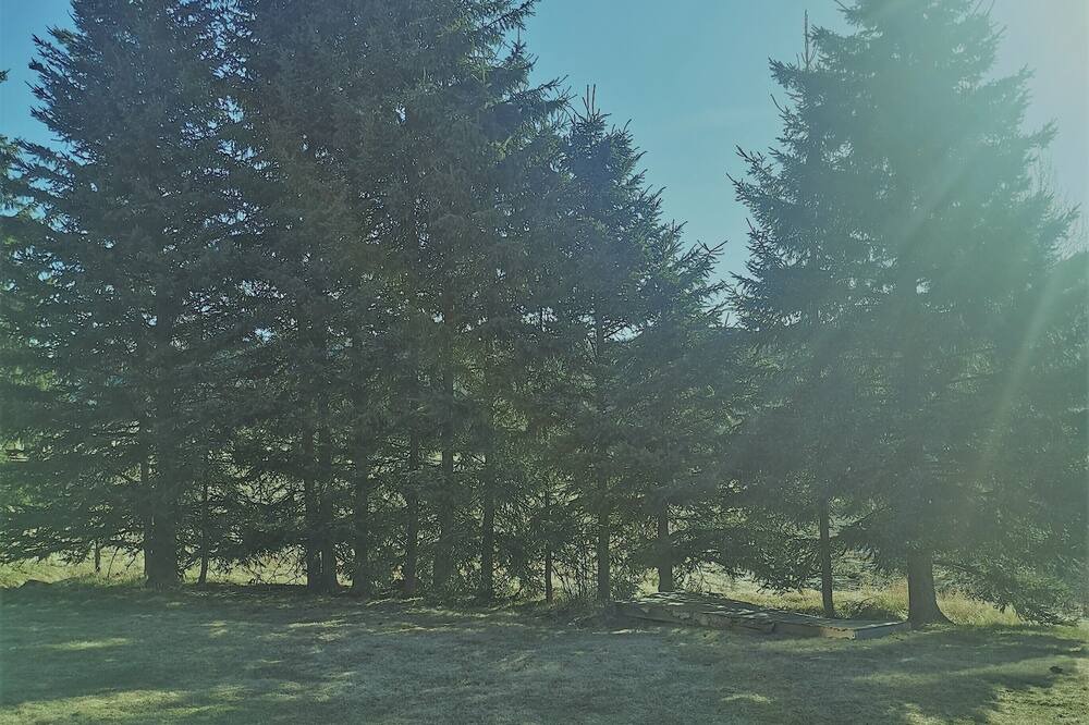 Photo of Outdoor in Regional District of Fraser-Fort George